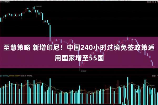 至慧策略 新增印尼！中国240小时过境免签政策适用国家增至55国