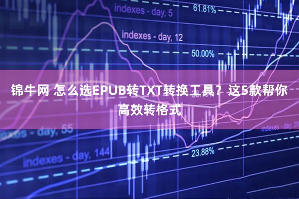 锦牛网 怎么选EPUB转TXT转换工具？这5款帮你高效转格式