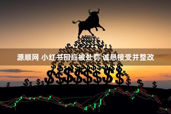 源顺网 小红书回应被处罚 诚恳接受并整改
