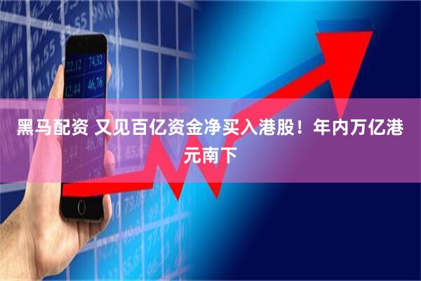 黑马配资 又见百亿资金净买入港股！年内万亿港元南下